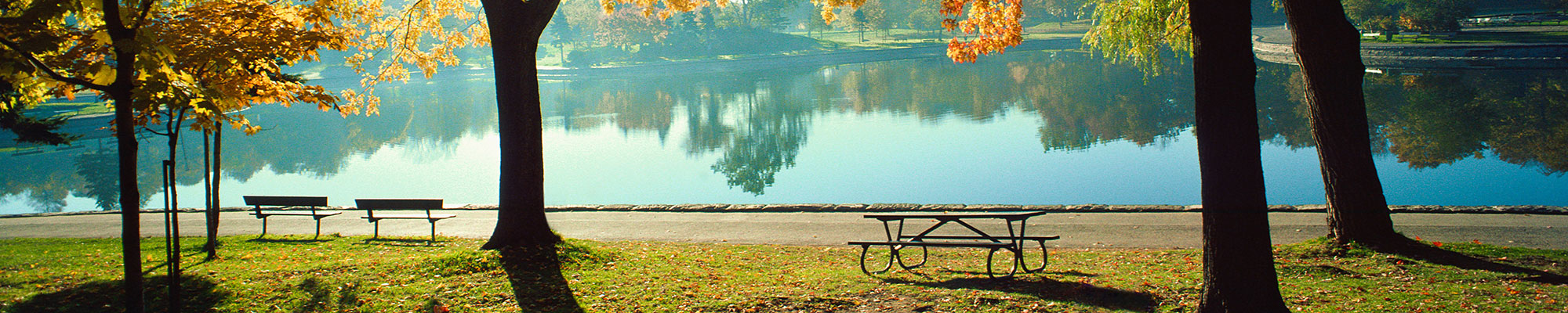 park bench beside a lake